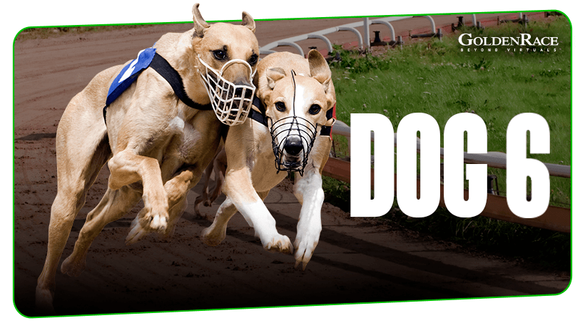 ban-JV-Dog6