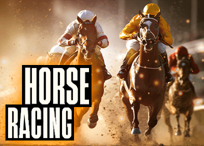 Horses 6