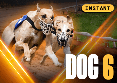 Dog 6 - Ondemand